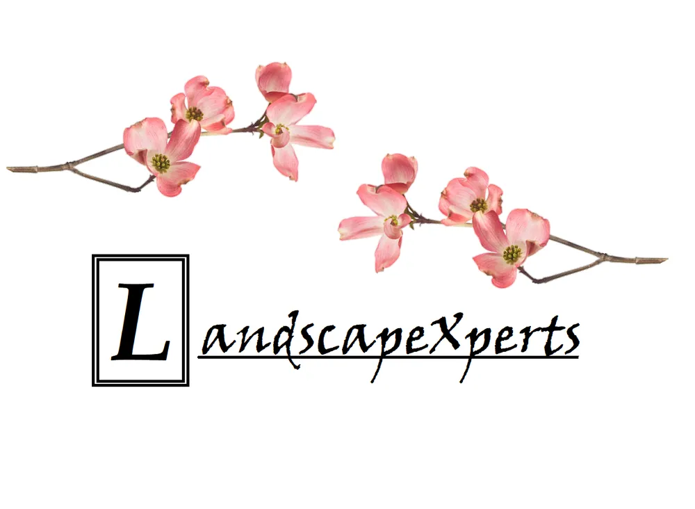 Affordable lawn care service in Duluth, GA - LandscapeXperts