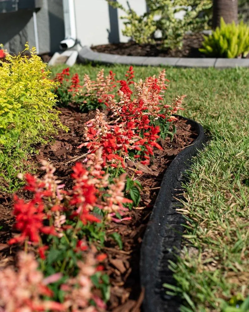 Top-rated landscape installation for beautiful yards in Land O' Lakes, FL by Landscapians