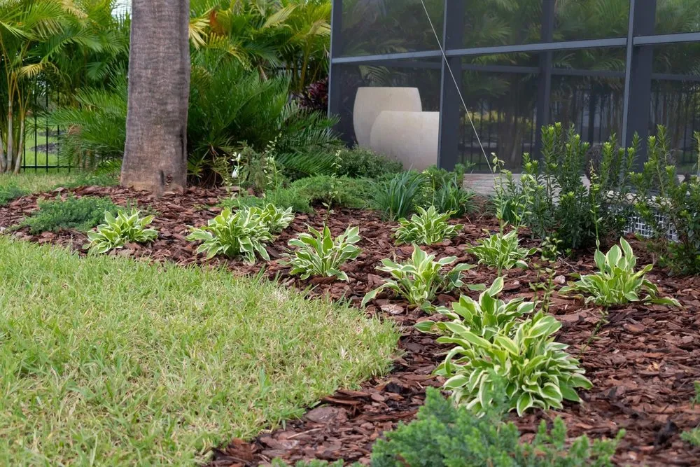 Top-rated landscape design with custom design in Land O' Lakes, FL by Landscapians
