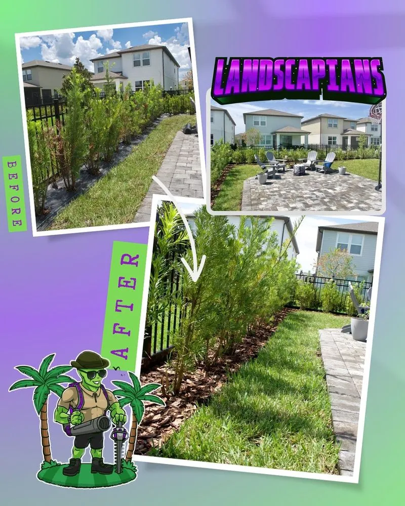 Professional landscaping services for outdoor upgrades across Land O' Lakes, FL - Landscapians
