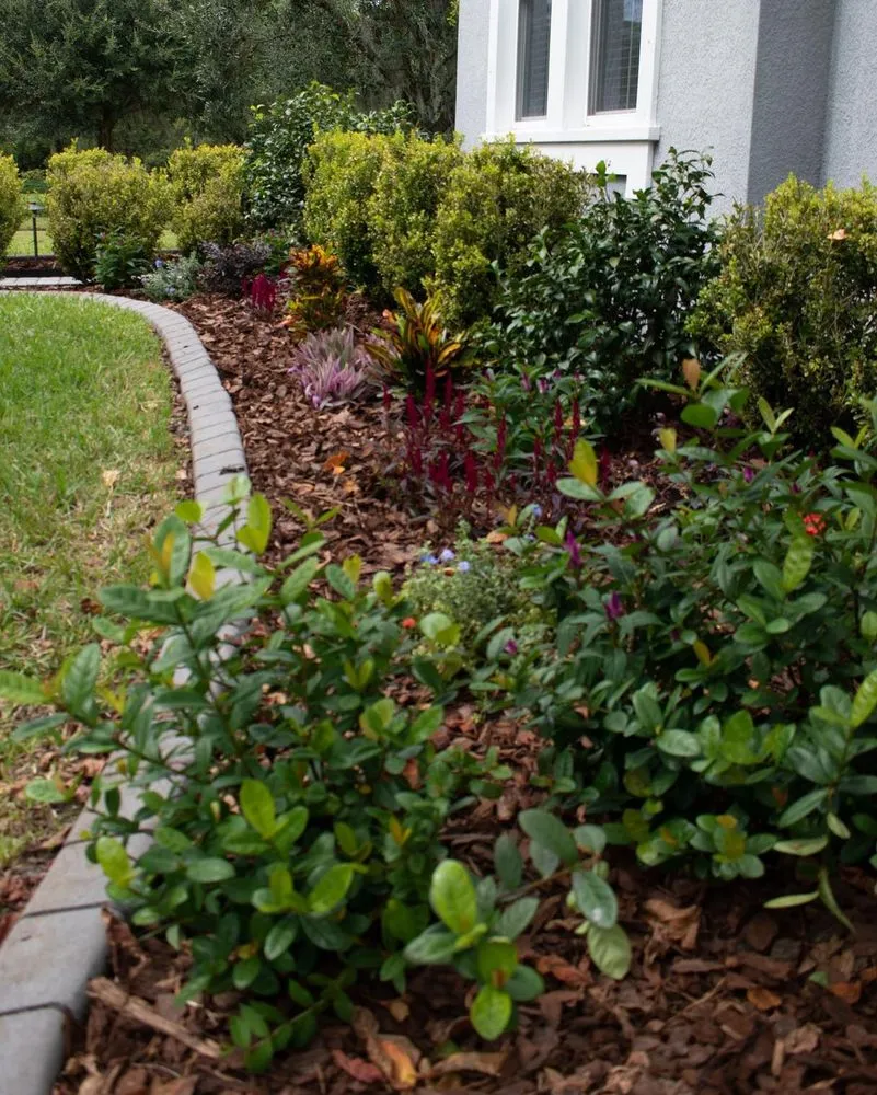 Top-rated outdoor landscaping for year-round maintenance across Land O' Lakes, FL - Landscapians