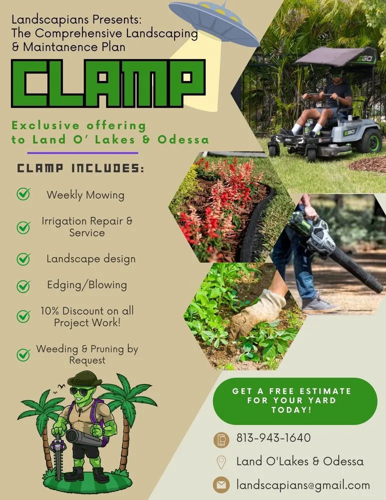 Custom residential landscaping in Land O' Lakes, FL by Landscapians