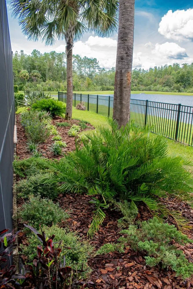 Custom yard cleanup service experts serving Land O' Lakes, FL - Landscapians