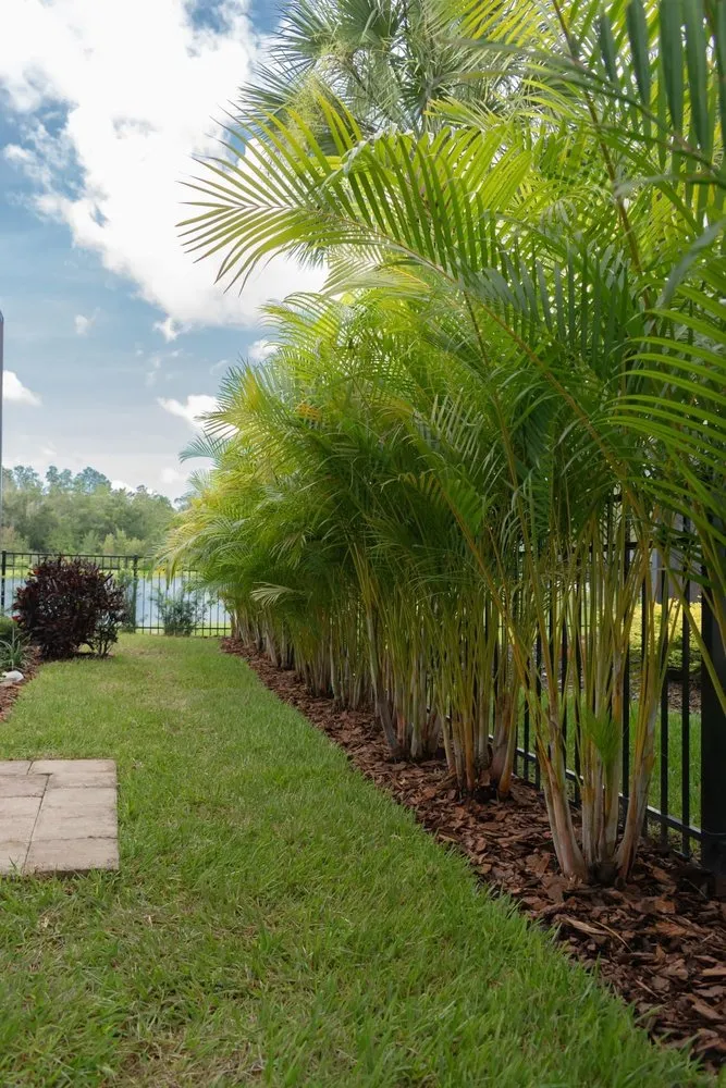 Custom landscape installation near you in Land O' Lakes, FL by Landscapians