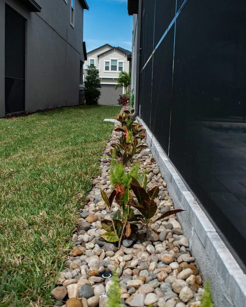 Reliable yard cleanup service in Land O' Lakes, FL - Landscapians
