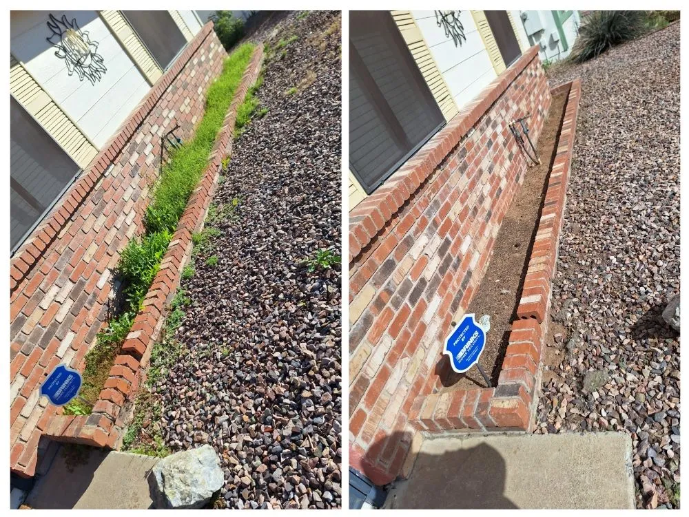 Custom residential landscaping in Phoenix, AZ by Landscaping & Construction