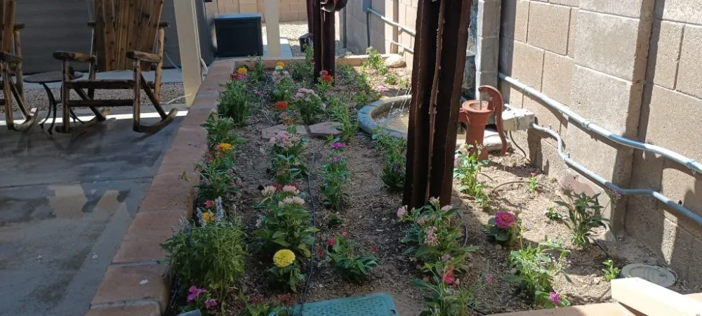 Professional yard cleanup service experts serving Phoenix, AZ - Landscaping & Construction