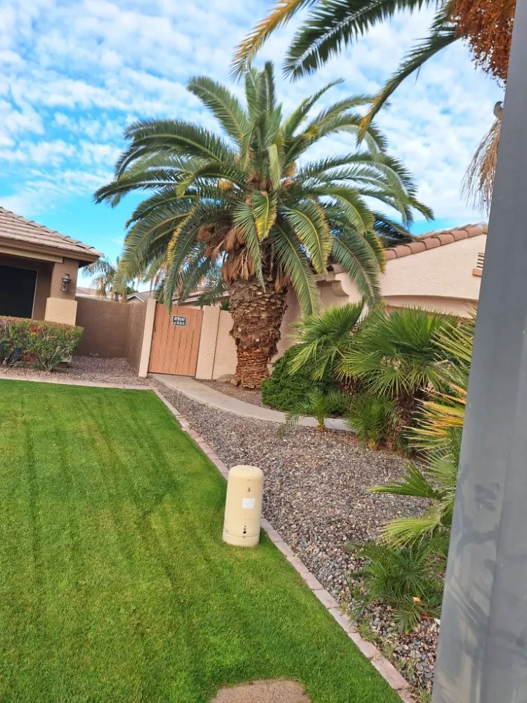 Local garden landscaping for beautiful yards in Phoenix, AZ by Landscaping & Construction
