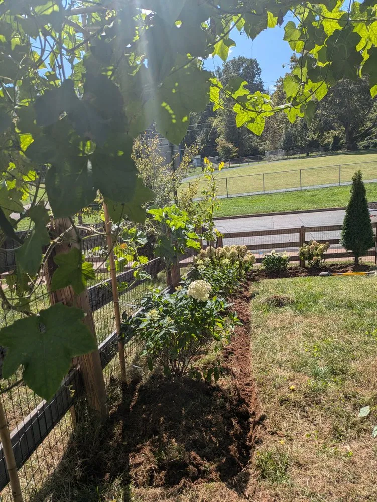 Reliable residential landscaping for beautiful yards across Palmyra, VA - Landscaping & Design