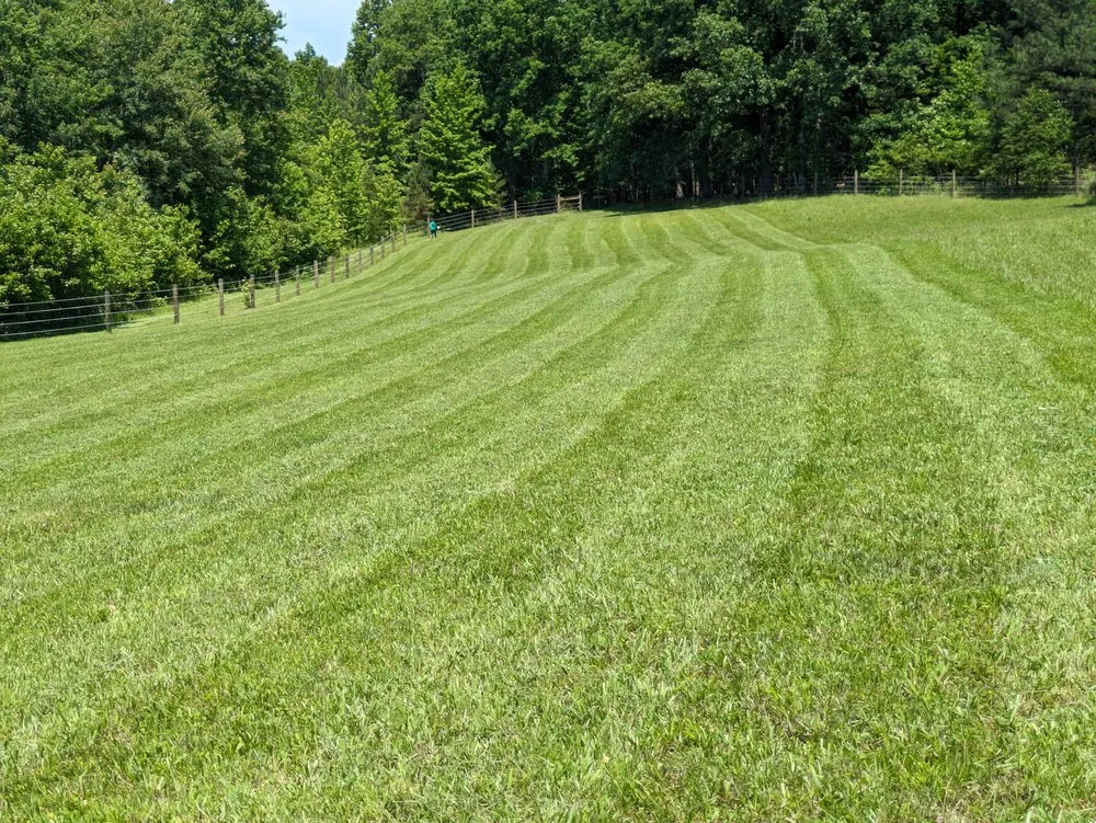 Local residential landscaping in Palmyra, VA by Landscaping & Design