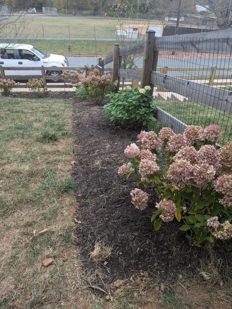 Expert lawn care service for homes across Palmyra, VA - Landscaping & Design