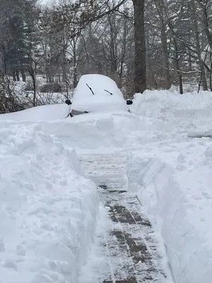 Landscaping & Fencing Mendez Logo