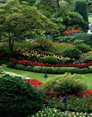 Landscaping & Housekeeper Services