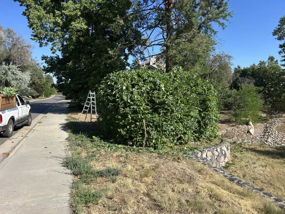 Reliable lawn care service in Aurora, CO - Landscaping & Lawn Care