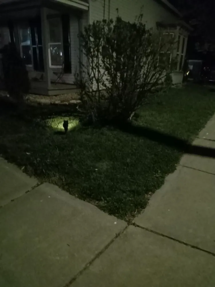 Local lawn care service experts serving Effingham, IL - Landscaping & Lawn Care