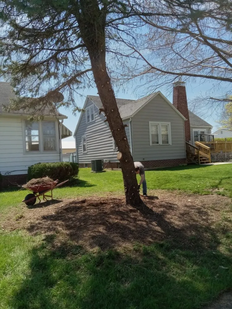 Expert yard maintenance for homes in Effingham, IL by Landscaping & Lawn Care