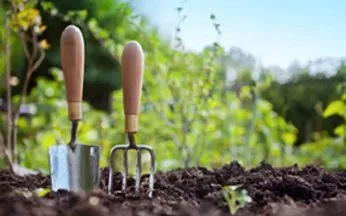 Professional yard cleanup service for beautiful yards across Brooksville, FL - Landscaping & Maintenance