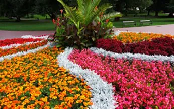 Trusted landscape installation experts serving Brooksville, FL - Landscaping & Maintenance