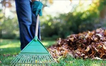 Landscaping & Maintenance Logo