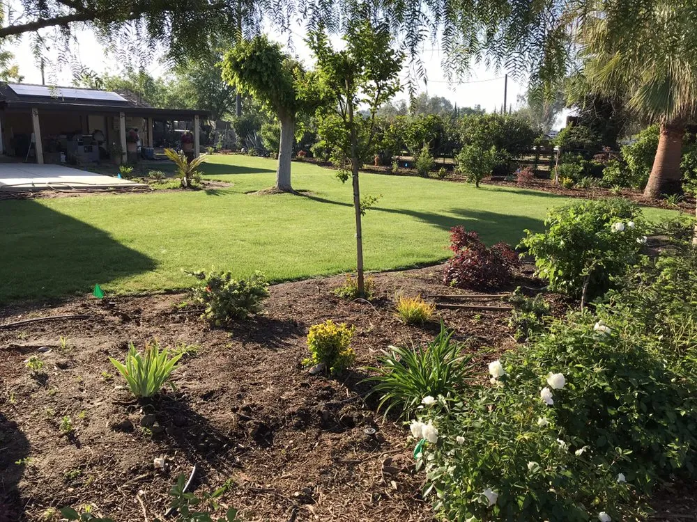 Reliable landscaping services with custom design across Exeter, CA - Landscaping & Maintenance by Javier