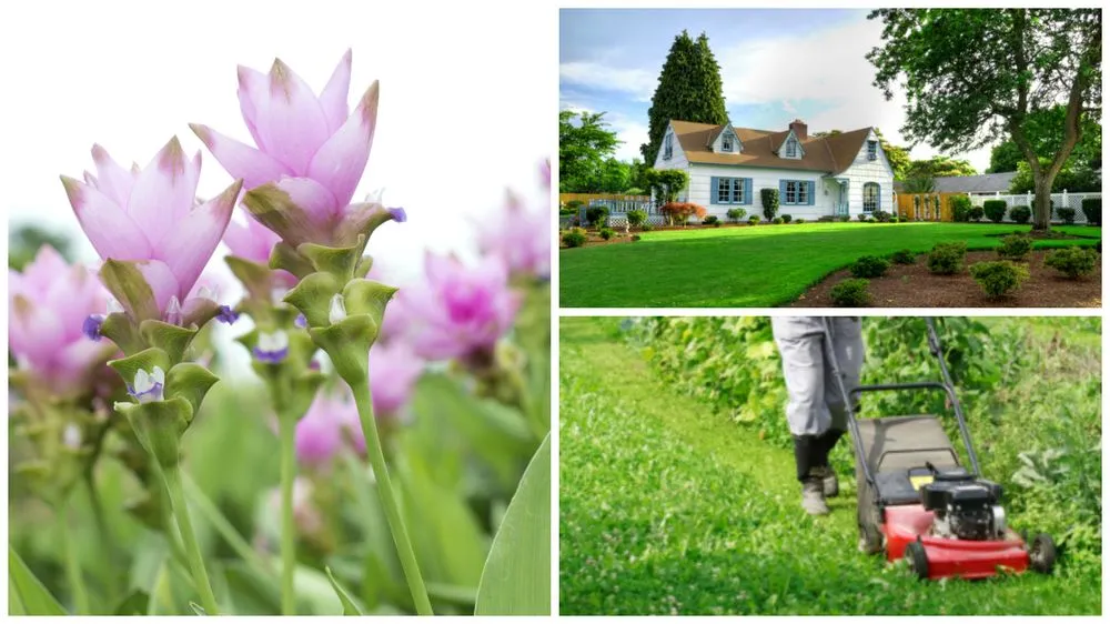 Trusted lawn care service in Exeter, CA by Landscaping & Maintenance by Javier