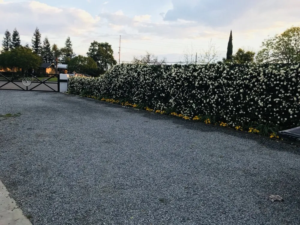 Professional lawn mowing service in Exeter, CA by Landscaping & Maintenance by Javier