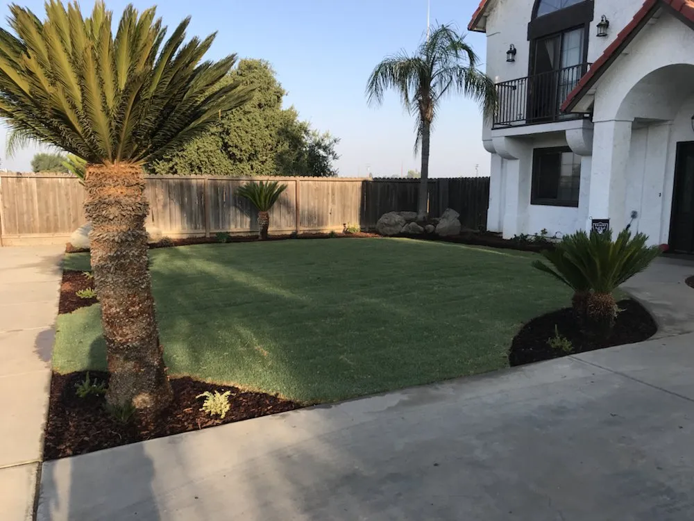 Trusted residential landscaping in Exeter, CA - Landscaping & Maintenance by Javier