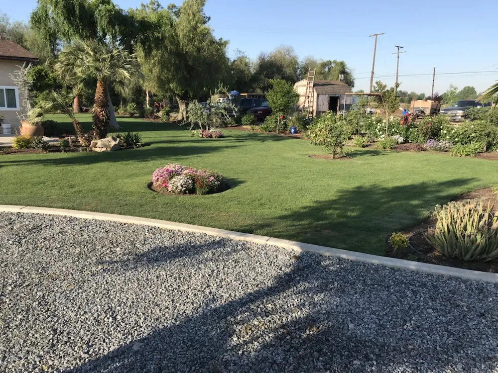 Local yard maintenance in Exeter, CA - Landscaping & Maintenance by Javier