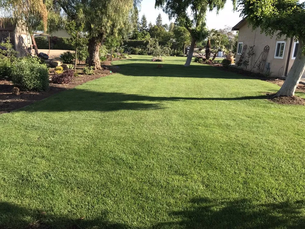 Top-rated landscape design near you across Exeter, CA - Landscaping & Maintenance by Javier