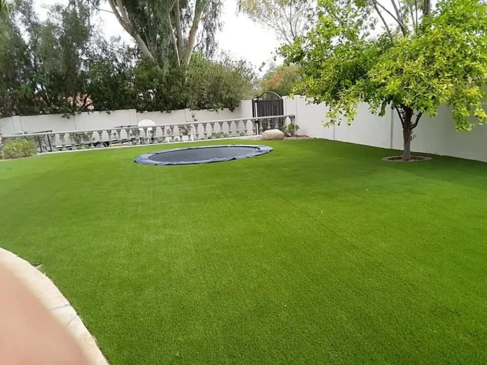 Top-rated landscape design in Mesa, AZ - Landscaping & Remodeling services M&G