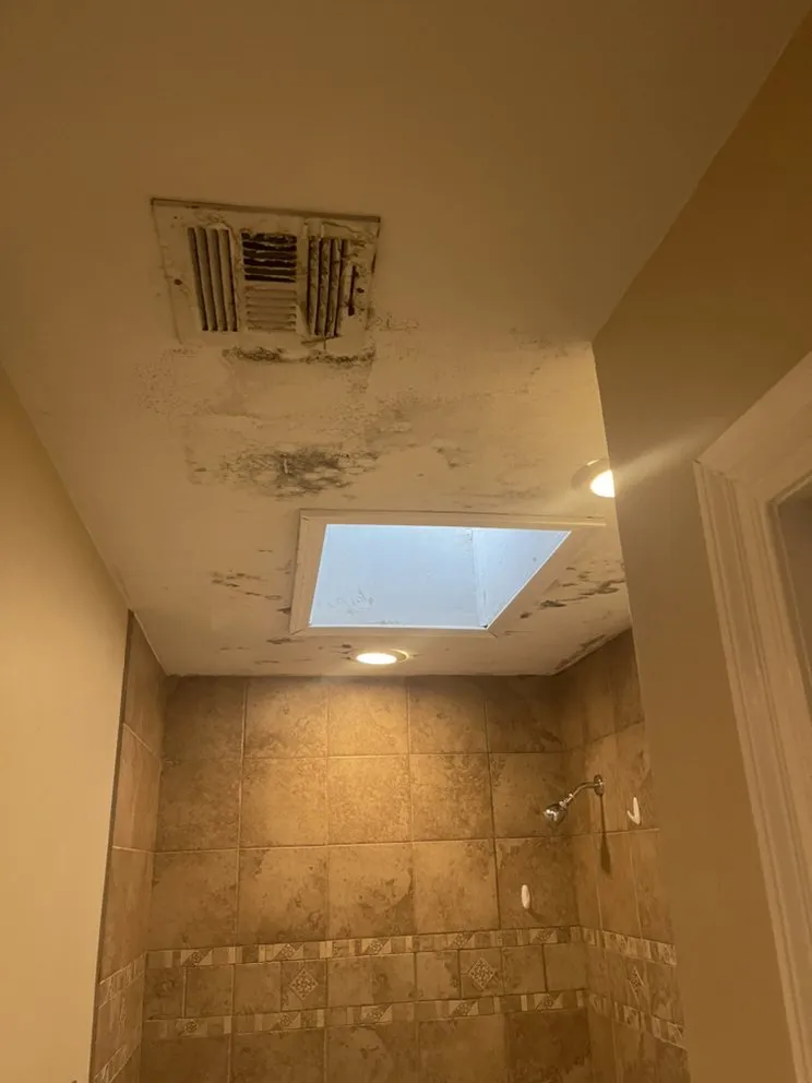 Custom yard maintenance experts serving Metairie, LA - Landscaping & renovation JJV