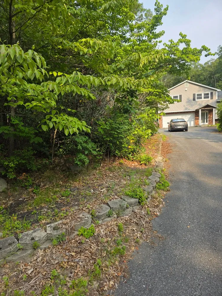 Affordable landscape installation for year-round maintenance across Pelham, NH - Landscaping & Repel