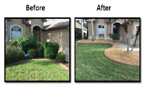 Top-rated residential landscaping for year-round maintenance across New Port Richey, FL - Landscaping & Rock Specialties