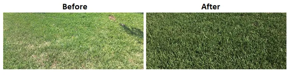 Local landscaping services with custom design across New Port Richey, FL - Landscaping & Rock Specialties