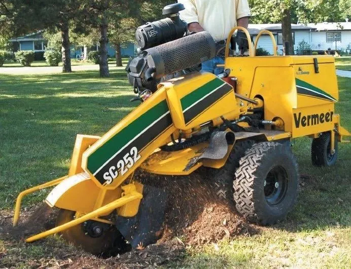 Trusted yard cleanup service in Darlington, IN - Landscaping & Trees by GT