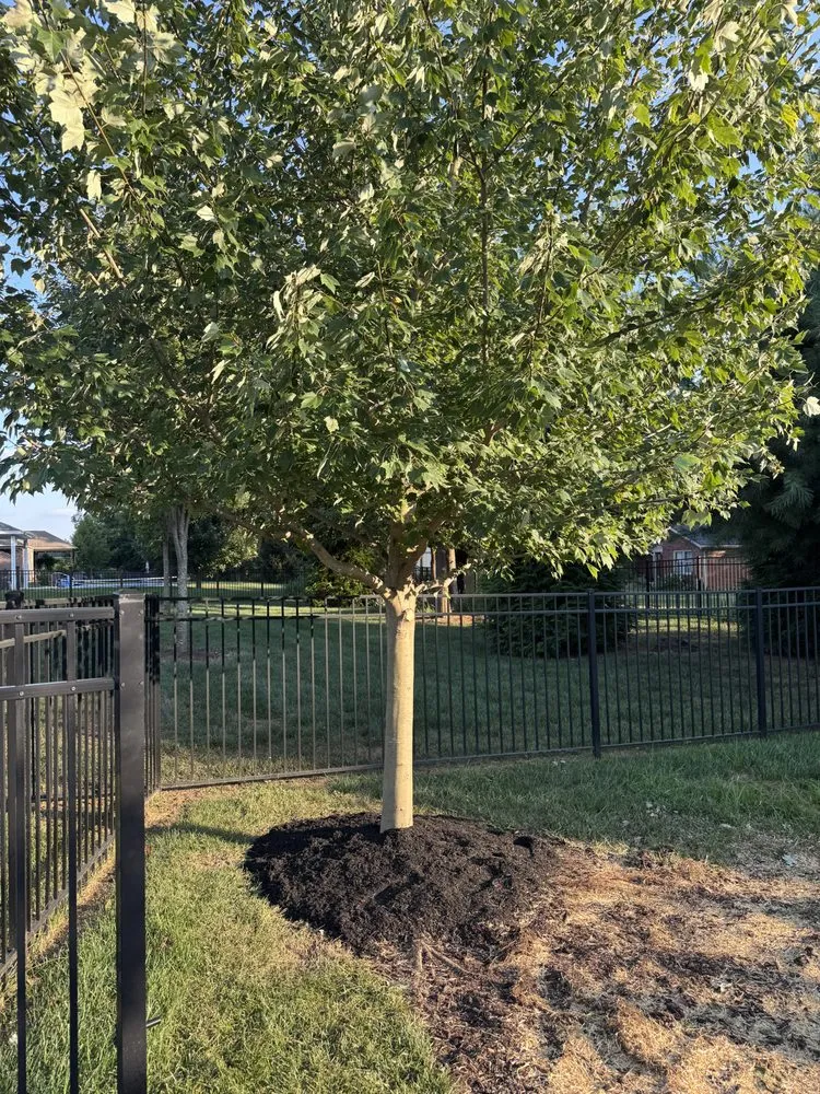 Reliable lawn mowing service experts serving Jeffersonville, IN - Landscaping & Turf L&T