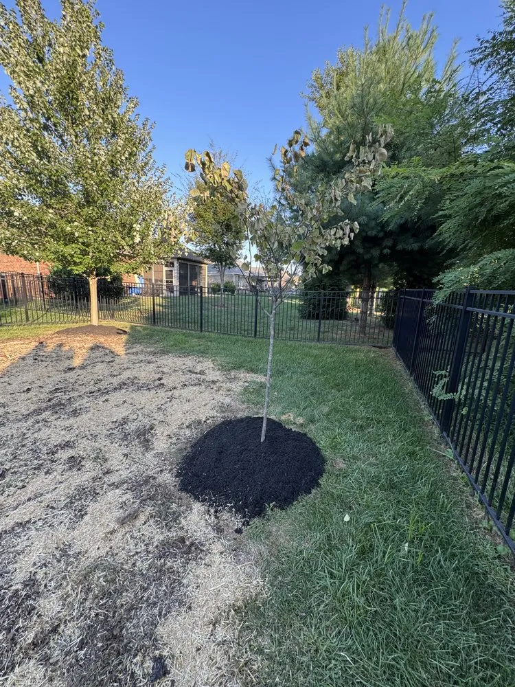 Local landscaping services in Jeffersonville, IN by Landscaping & Turf L&T