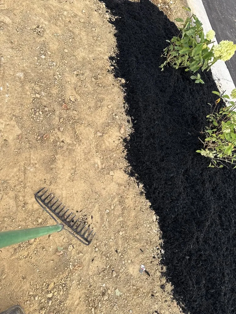 Local yard cleanup service for outdoor upgrades across Jeffersonville, IN - Landscaping & Turf L&T