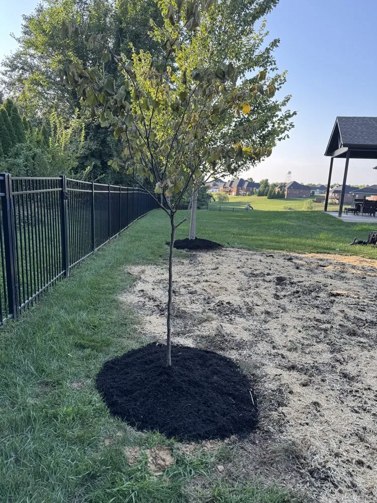 Expert yard maintenance for beautiful yards across Jeffersonville, IN - Landscaping & Turf L&T