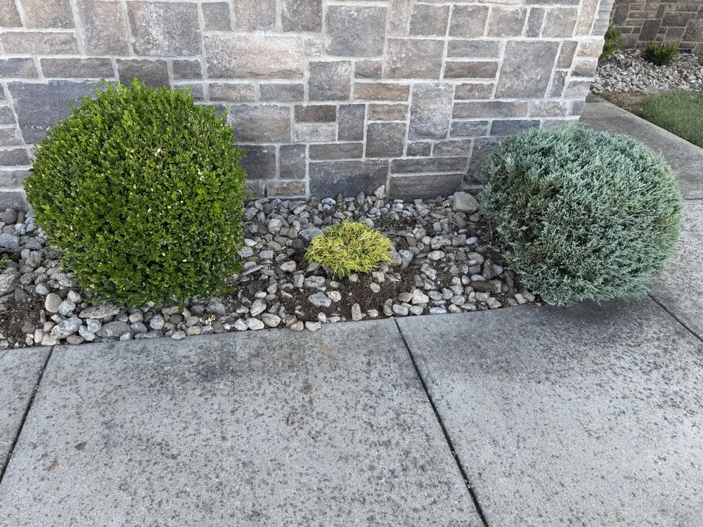 Professional yard maintenance experts serving Jeffersonville, IN - Landscaping & Turf L&T