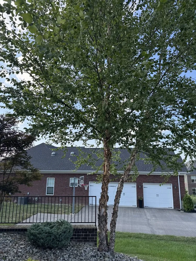 Trusted lawn care service experts serving Jeffersonville, IN - Landscaping & Turf L&T