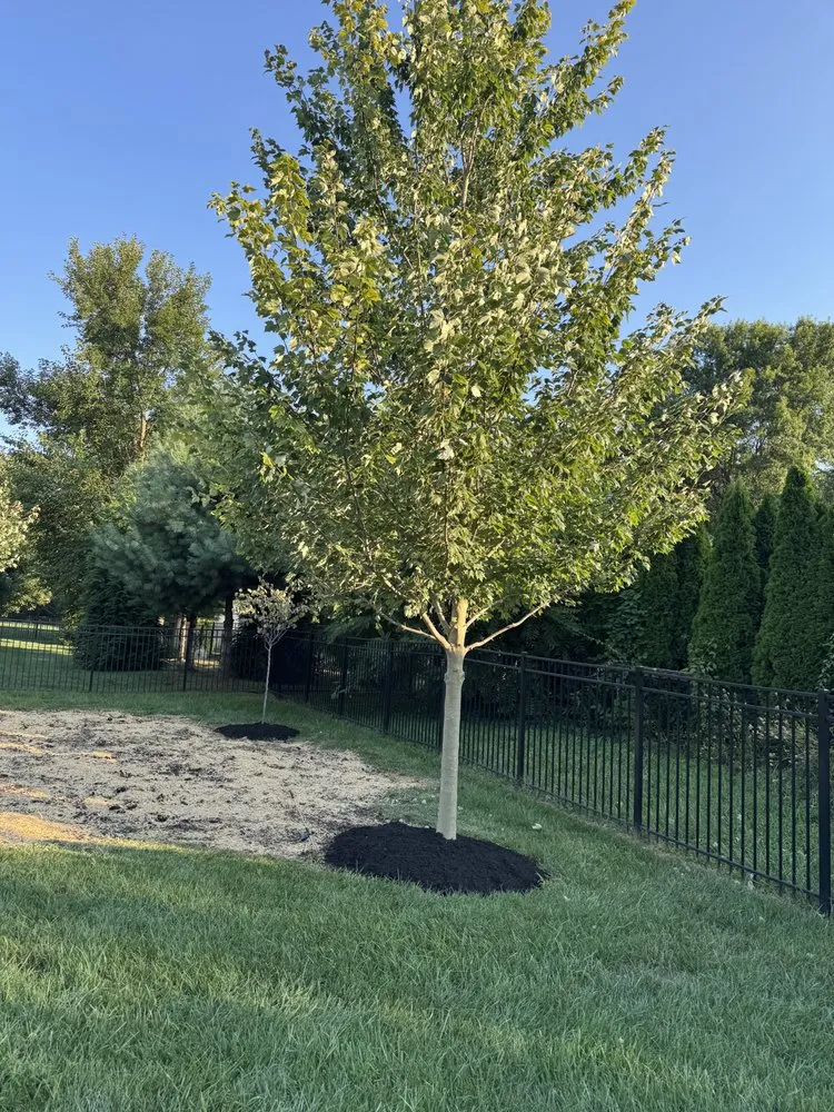 Reliable lawn mowing service with custom design in Jeffersonville, IN by Landscaping & Turf L&T