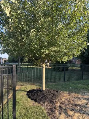 Landscaping & Turf L&T Logo