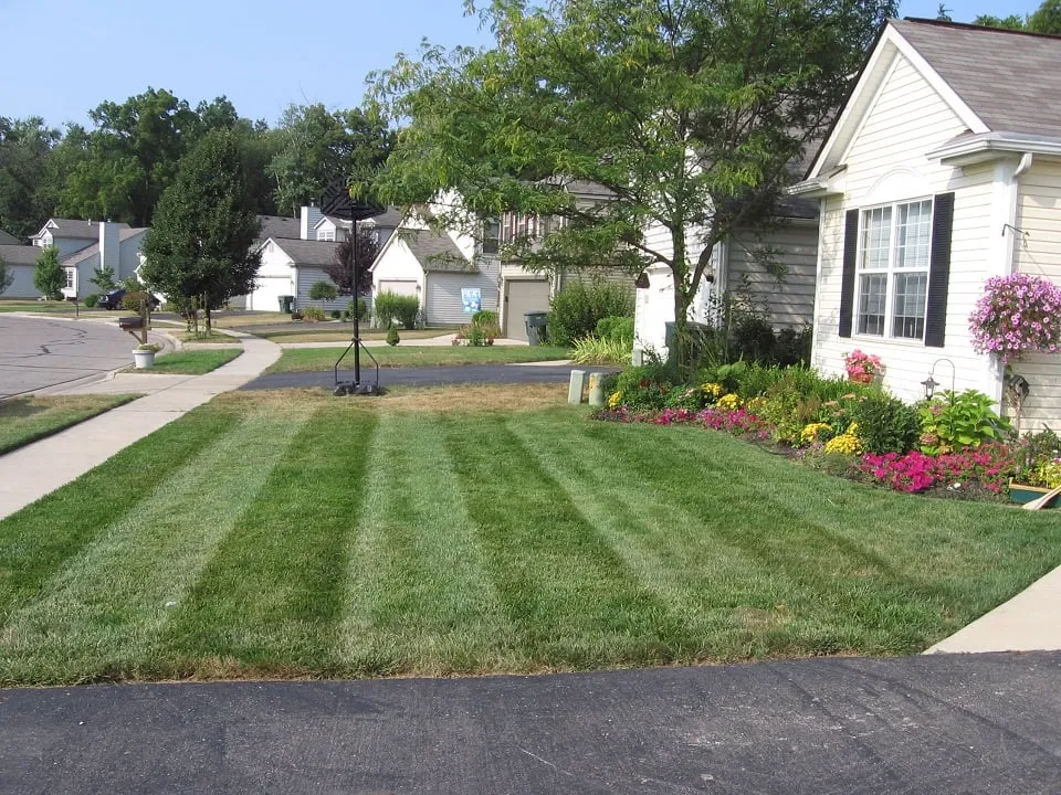 Top-rated residential landscaping for beautiful yards in Dublin, OH by Landscaping 365