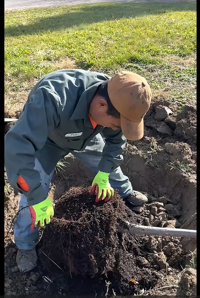 Reliable yard cleanup service in Dublin, OH - Landscaping 365