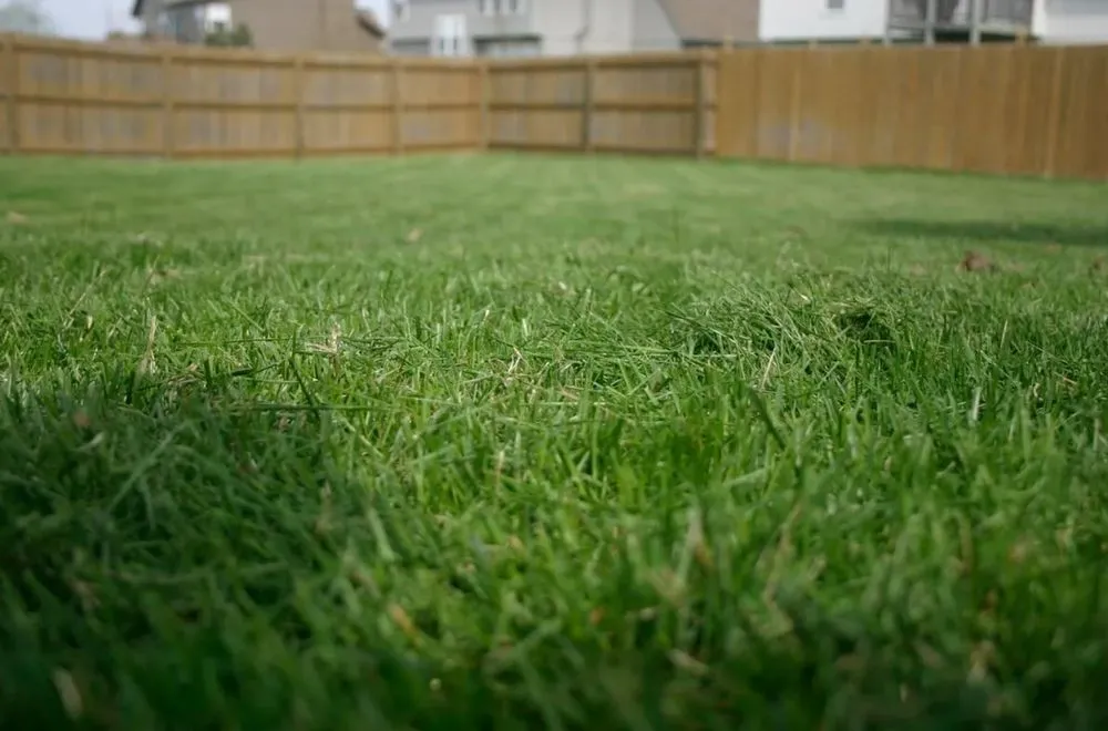 Reliable landscape installation in Duncanville, TX by Landscaping Ace