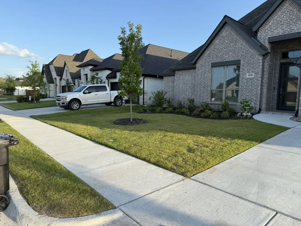 Expert yard maintenance for year-round maintenance across Duncanville, TX - Landscaping Ace