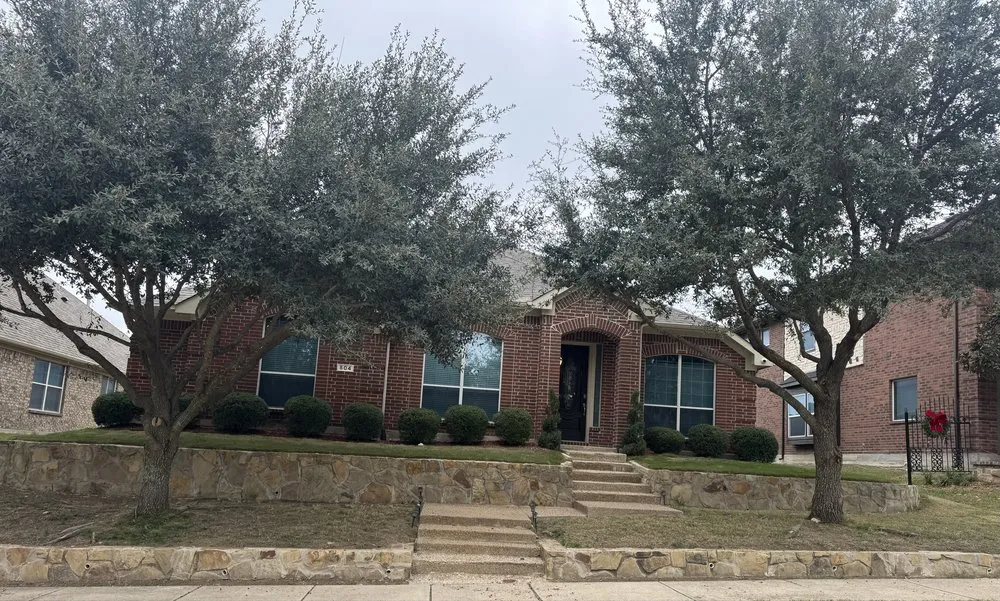 Top-rated yard cleanup service experts serving Duncanville, TX - Landscaping Ace