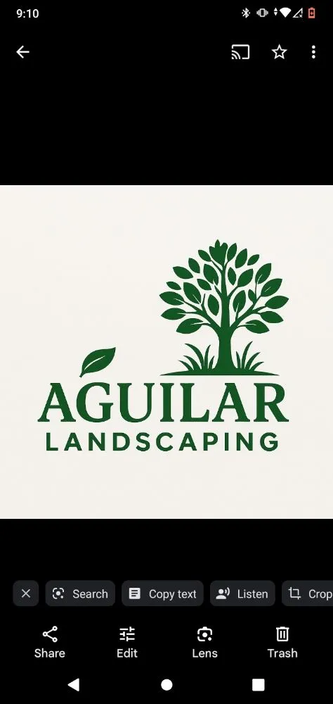 Affordable residential landscaping in Mount Vernon, NY by Landscaping Aguilar
