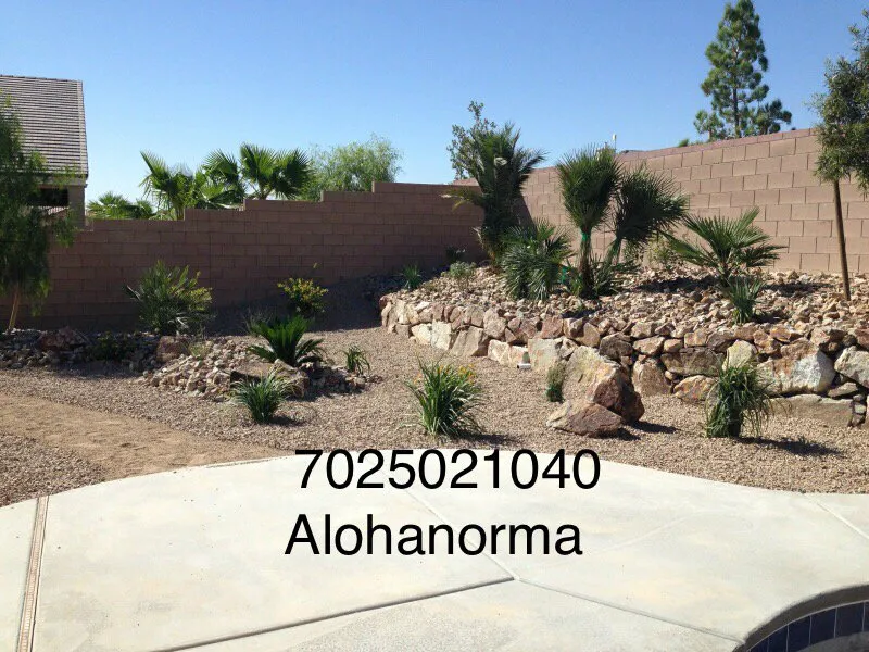 Professional yard cleanup service for homes across Las Vegas, NV - Landscaping Aloha Norma